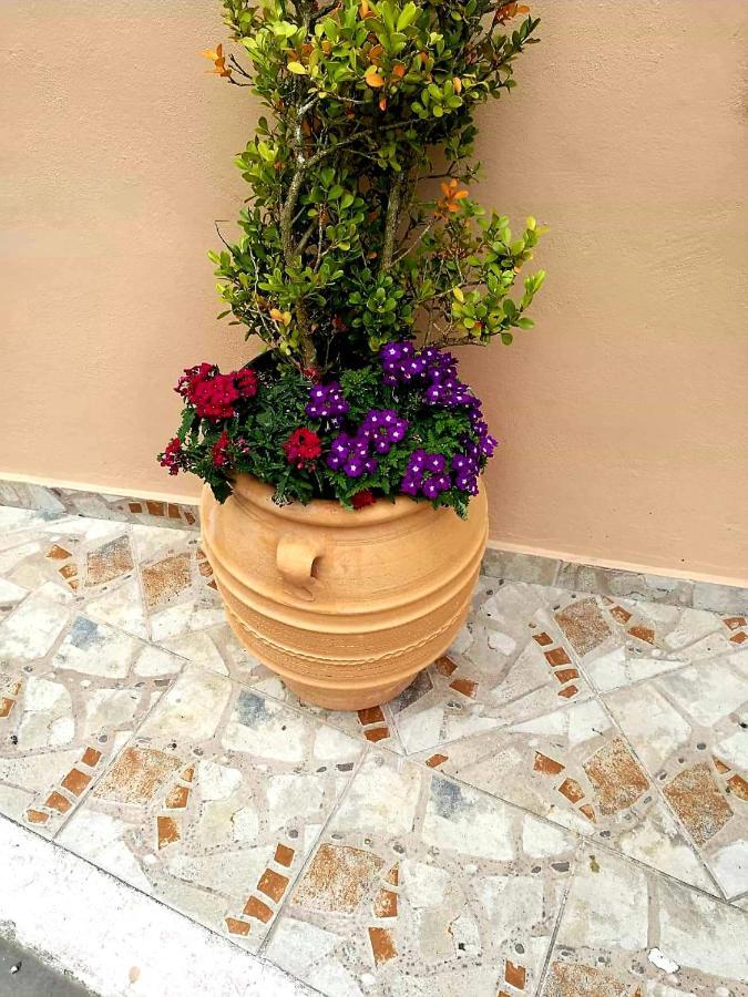 Joy New Port Studio Corfu Town 外观 照片